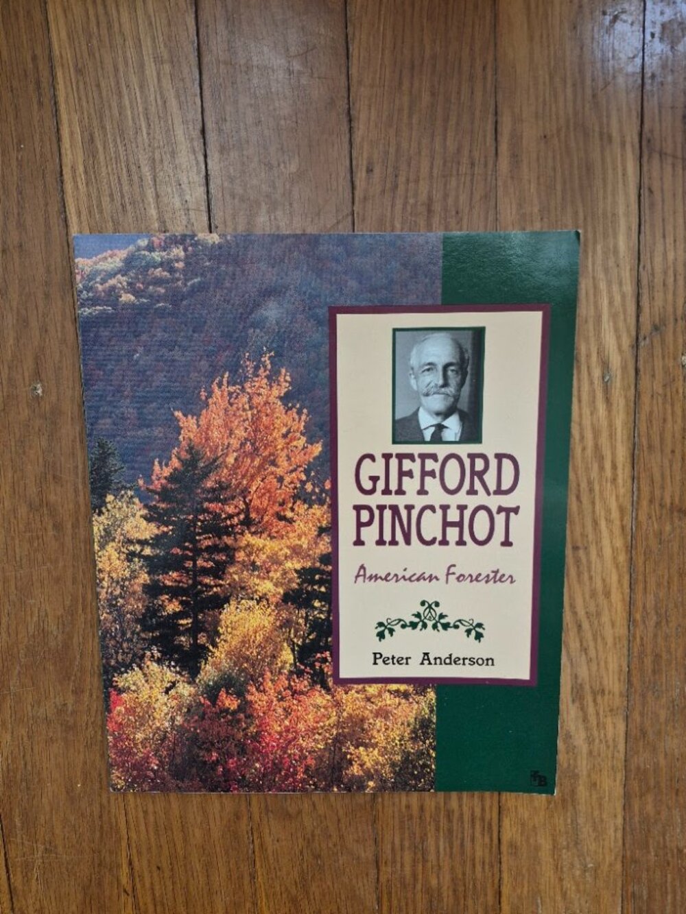 Gifford Pinchot American Forester Biography Book
